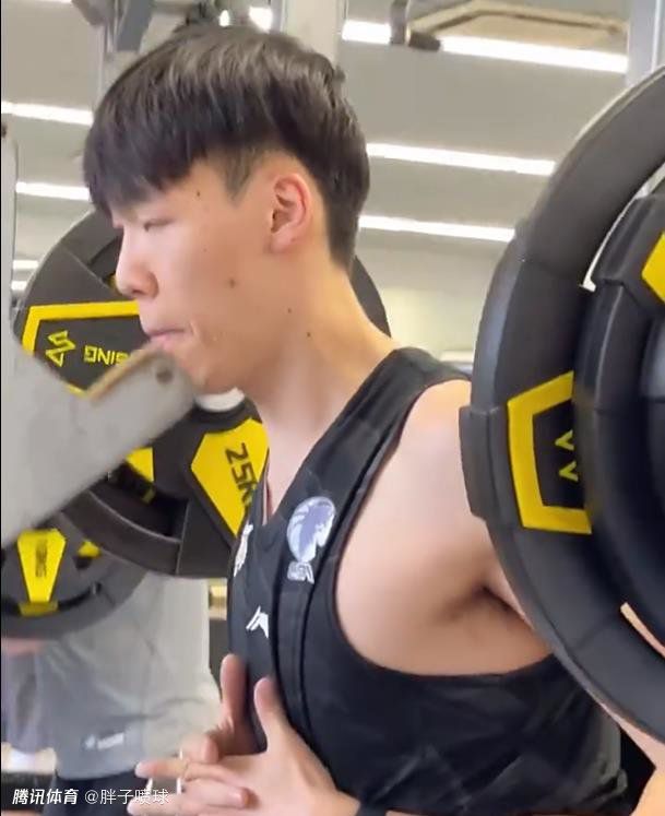 猫咪mv在线观看视频