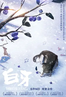99久久久国产精品免费