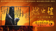 亚洲精品国产不卡在线观看