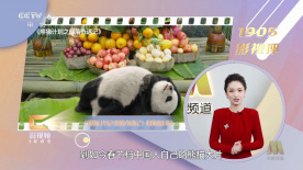 国产精品片www48888